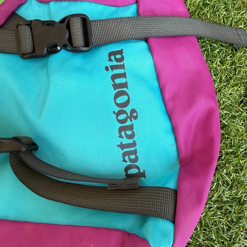 Vtg Patagonia Atom Sling 8L Backpack Bag Pink Teal Lime Colorblock Gorpcore